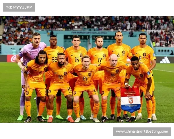 荷兰队2024欧洲杯26人大名单公布 范戴克和德利赫特领衔强阵