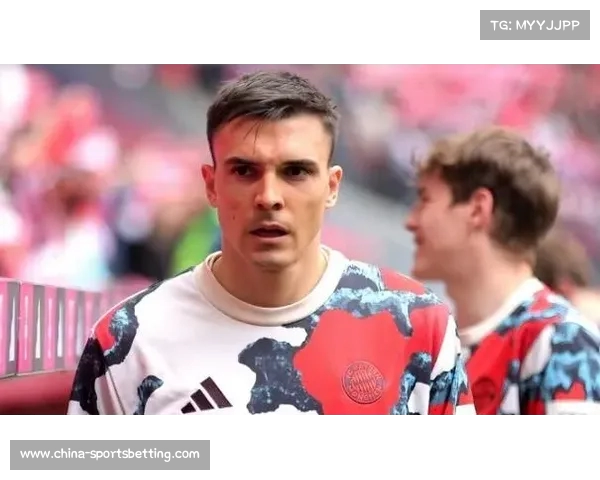 拜仁慕尼黑正式签下热刺后卫戴尔球员已抵达球队报道